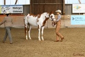 23-APHA SS_051
